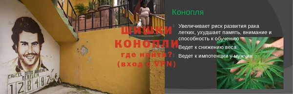 экстази Бородино